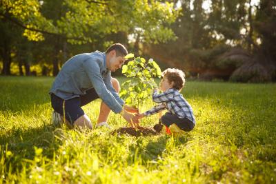 image of man and boy planting a tree
